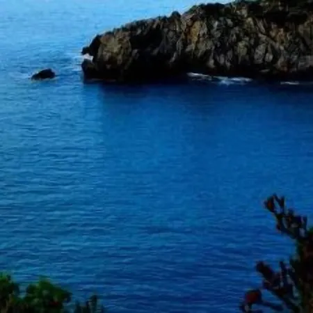 Al Vecchio Pioppo Bed & Breakfast Praia a Mare