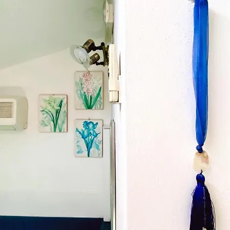 Bed & Breakfast Al Vecchio Pioppo Praia a Mare