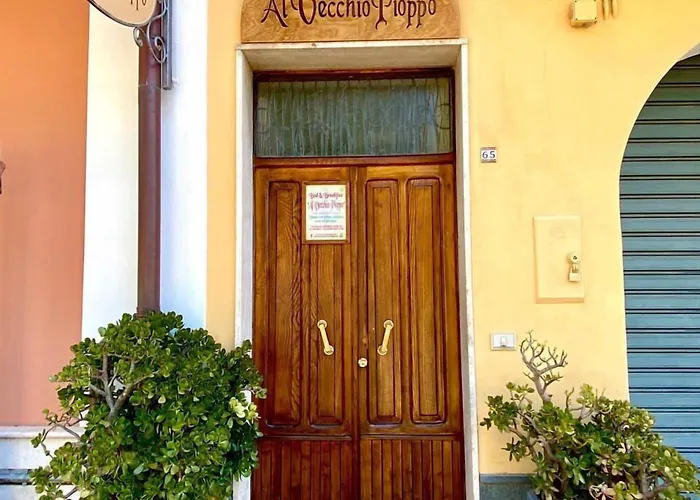 阿尔桥皮奥普住宿加早餐旅馆 住宿加早餐酒店