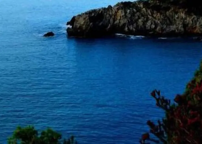 阿尔桥皮奥普住宿加早餐旅馆 住宿加早餐酒店 普拉亚·阿马勒